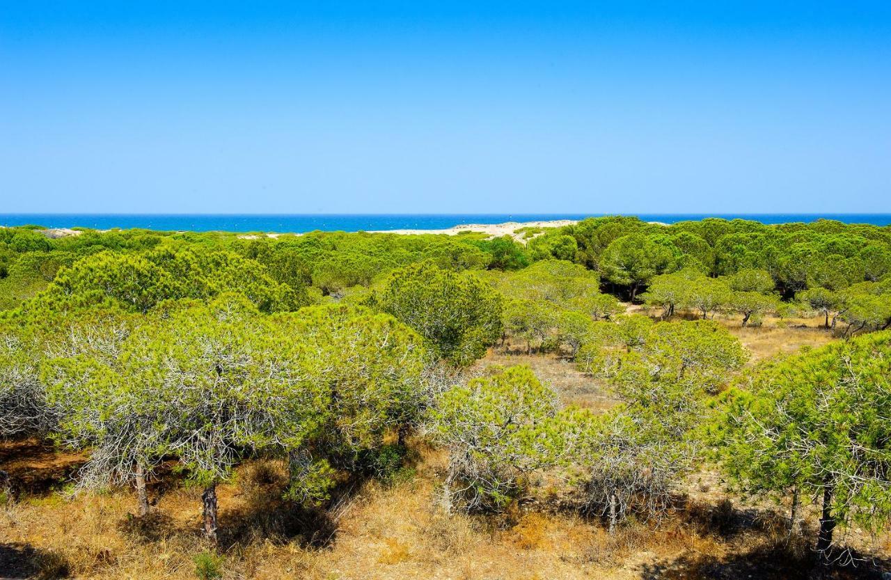 Luxury Pinada Beach La Mata  Zewnętrze zdjęcie